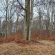Cyklista 73 na vrcholu Bražský kopec (26.2.2024)