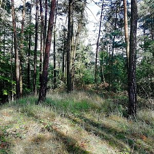 Vladimír Grančay na vrcholu Hůrka (7.9.2022 16:09)