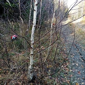 Jiřina na vrcholu Ploský grúň (1.11.2022 12:52)