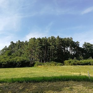 Vladimír Grančay na vrcholu U Dolan (20.7.2022 17:28)