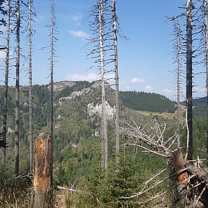 Hancula na vrcholu Upłaziański Wierszyk (25.8.2022 15:14)