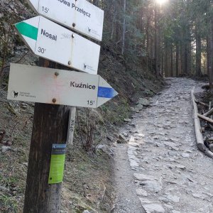 Mykas na vrcholu Boczań (11.2.2025 12:31)