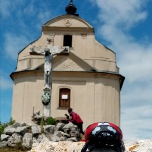 Jiřina on the summit of Sivá Brada (2.7.2026 13:15)
