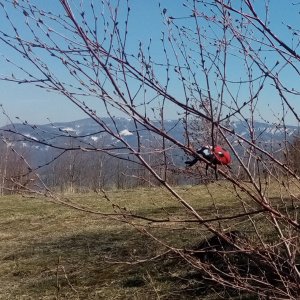 Jiřina na vrcholu Hážovické Díly (3.4.2026 11:26)