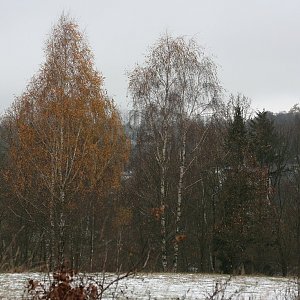 Bouřka na vrcholu Vodojem (21.11.2022 15:32)