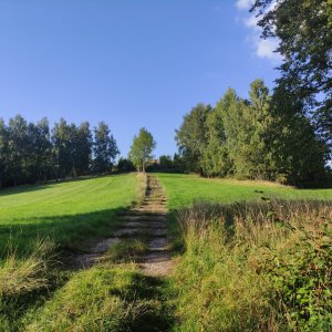 Vratislav Sejkora na vrcholu Vodojem (8.9.2025 17:54)