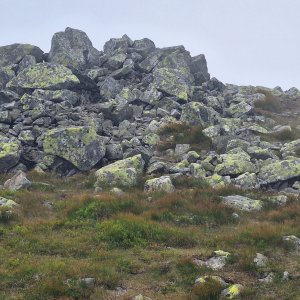 Cyklista 73 na vrcholu Zadný dereš (25.7.2025 9:58)
