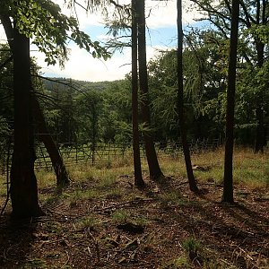 Bouřka na vrcholu Malý Vršek (10.9.2022 16:50)