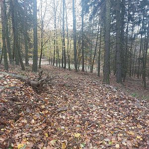 Cyklista 73 na vrcholu Malý Vršek (26.10.2022 11:27)