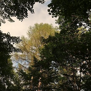 Bouřka na vrcholu Týčský vrch - S vrchol (10.9.2022 17:05)