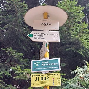 Šárka Navrátilová na vrcholu Javořice (13.8.2022 18:42)