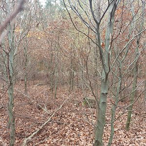 Cyklista 73 na vrcholu Koželužka (1.11.2022 12:00)