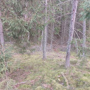 Cyklista 73 na vrcholu Koželužka - J vrchol (1.11.2022 11:32)