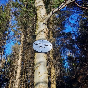Šárka na vrcholu Nořičí hora (5.3.2026 14:17)