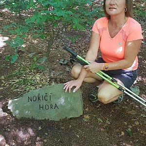 Fido a Myszka na vrcholu Nořičí hora (9.9.2018 13:30)