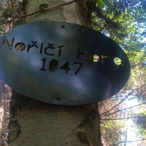 PA!WELL na vrcholu Nořičí hora (28.6.2026 13:02)