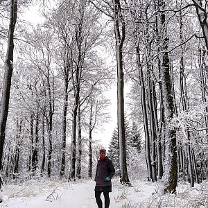 Lenka Nenutilová na vrcholu Nořičí hora (6.1.2021 12:07)