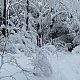 Alexandr Starý na vrcholu Nořičí hora (18.1.2021 13:50)