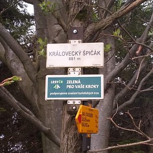 Dolfa na vrcholu Královecký Špičák (29.5.2021 15:15)
