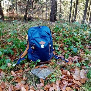 Jiřina na vrcholu Lemešná (15.11.2021 12:40)