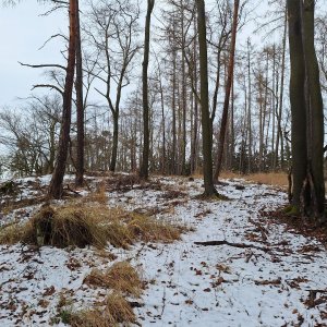 Cyklista 73 on the summit of Hůrka (6.1.2025 13:49)