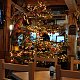 filipka na vrcholu Kohútka (19.12.2021 16:33)