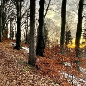 Dashia5 na vrcholu Filipka (1.1.2025 15:32)