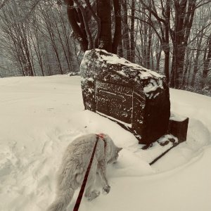 Dashia5 na vrcholu Filipka (12.1.2025 14:50)