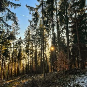 Dashia5 na vrcholu Filipka (2.3.2025 16:39)
