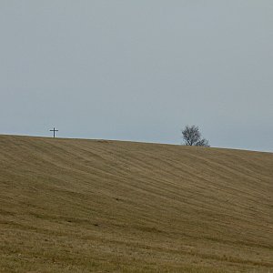 Katka na vrcholu Loučka (14.11.2020 13:47)