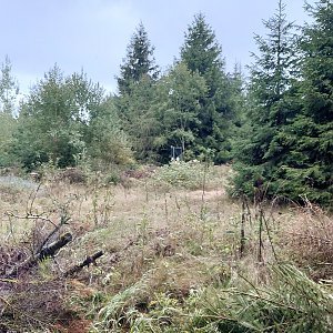 Nojby na vrcholu Ellbogen (16.9.2022 14:03)