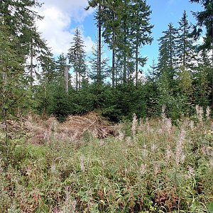 Nojby na vrcholu Brückenberg (16.9.2022 15:05)