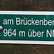 Nojby na vrcholu Brückenberg