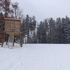 FilipBranis on the summit of Bartlův vrch (30.1.2026 9:01)