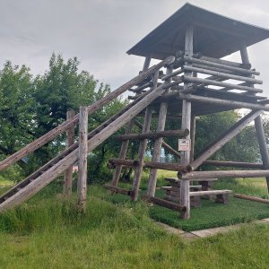 Ila na vrcholu Búřov (7.6.2025)