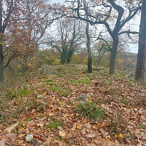 Cyklista 73 na vrcholu Buzová (26.10.2022 13:38)