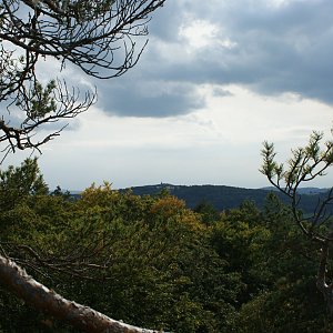 Holi na vrcholu Babí skála - JV vrchol (24.9.2022 16:00)