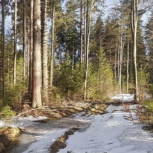 JezMax na vrcholu Kalužný (7.4.2022 17:52)