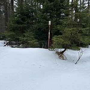 Gregořicovi na vrcholu Kalužný (3.2.2024 10:38)
