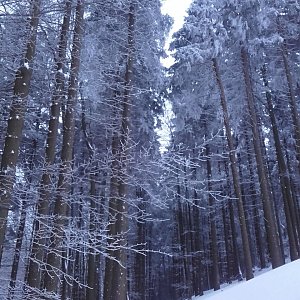 BarůůŠ Heczková na vrcholu Kalužný (4.2.2019 20:00)