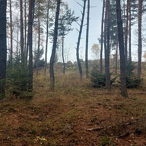 Cyklista 73 na vrcholu Kněžský vrch - Z vrchol (1.11.2022 9:32)