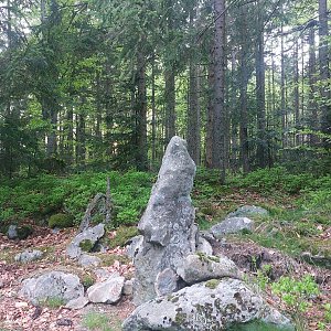 Cyklista 73 on the summit of Zámecký les (24.5.2023 20:16)