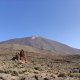 Mira Fo na vrcholu Teide (29.7.2025)