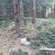 ZdenkaV na vrcholu Bílý kámen