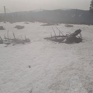 Marcela na vrcholu Lysý vrch (19.3.2023 11:56)