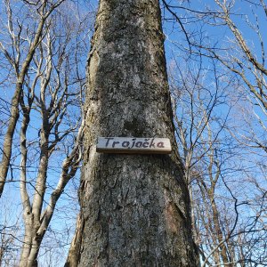 Ivo na vrcholu Trojačka (14.3.2026 12:13)