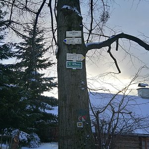 Podbeskydská pahorkatina
