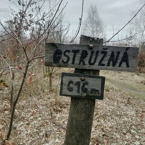 Zdena Trommler na vrcholu Ostružná (9.3.2024 14:45)