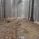 Gregořicovi na vrcholu Motyková