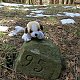 ZdenkaV na vrcholu Motyková (26.4.2021 10:52)